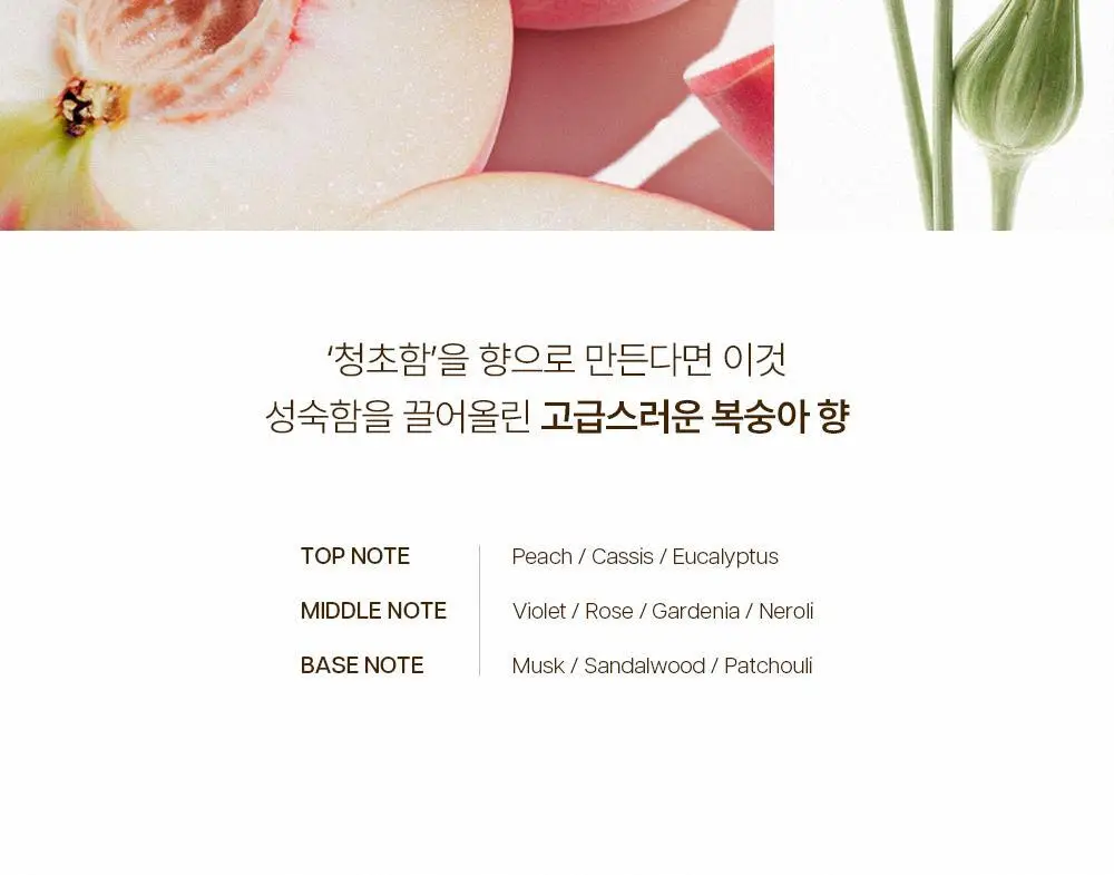 [5월 올영픽/NEW 기획 런칭] 투크 실루엣 헤어 퍼퓸 68ml 기획 5종 택1 상세페이지 13